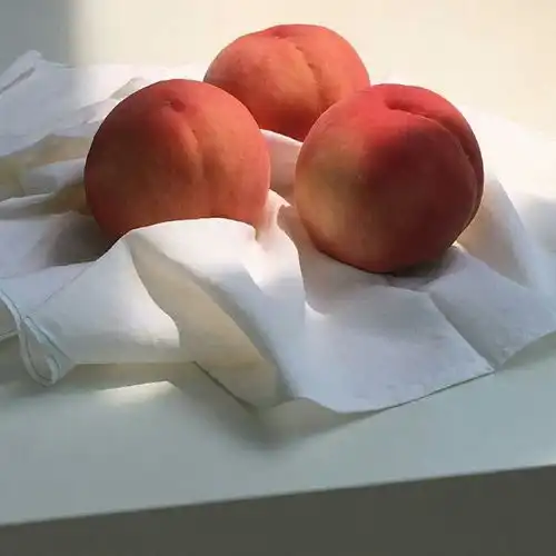 一分钟带你看懂学历和学位的区别