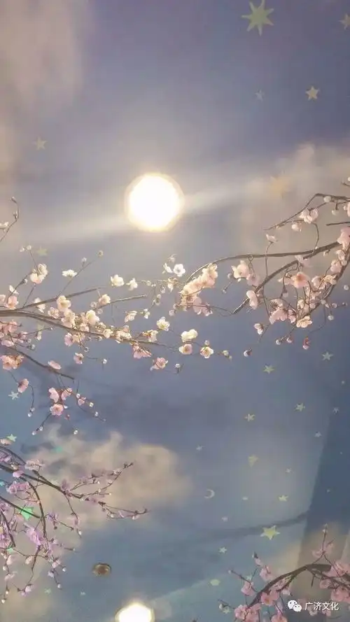 手机壁纸清冷风风景