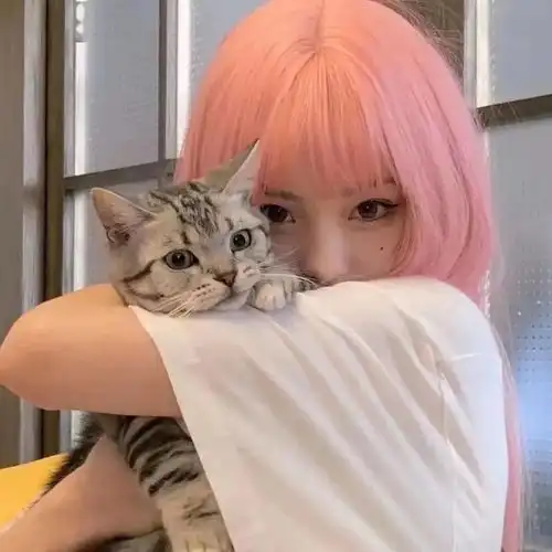 猫系少女头像可爱头像