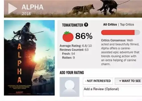 狼来了19.9元超前预售