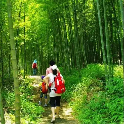 开双臂,拥抱自然,体验户外风光