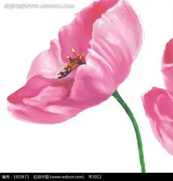 手绘开放的粉色花朵图片免费下载红动网