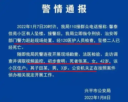 与丈夫无关母子从15楼被扔下系谣言3岁孩子已坠亡