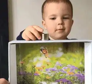 谁说老公是带娃路上的猪队友这个老爸,简直是行走的育儿宝典