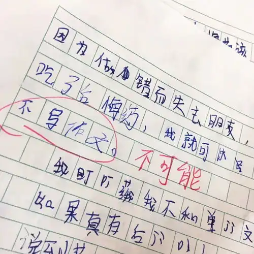 小学生的作文