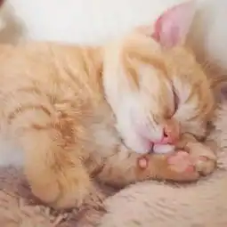 用户中心木yo暮小遥的个人信息知音漫客网