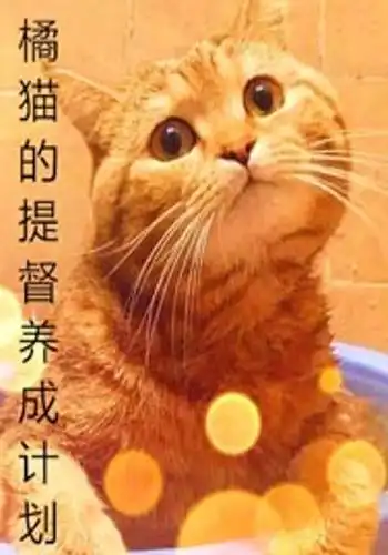 橘猫的提督养成计划