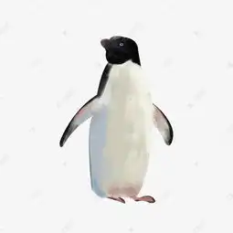 卡通企鹅手绘插画素材图片免费下载千库网