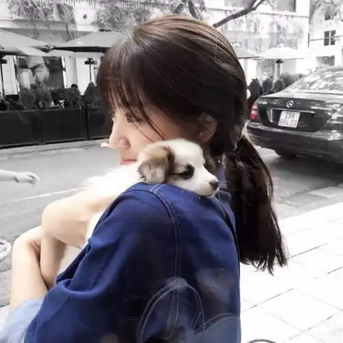 头像个性简约唯美系女生