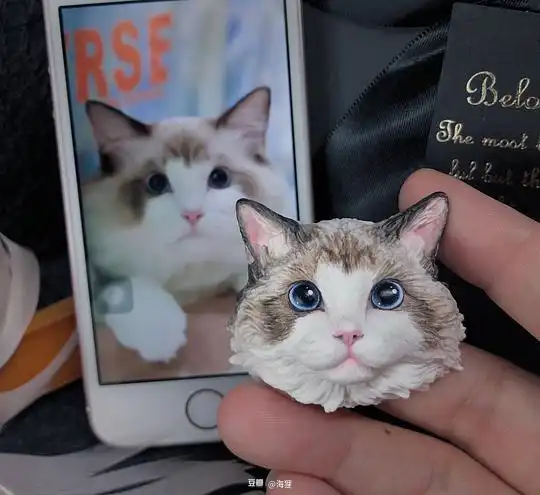 海狸的相册客定头像回顾