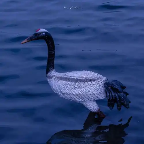 苏旬优质唯美ins蓝色系背景图唯美图片我要个性网