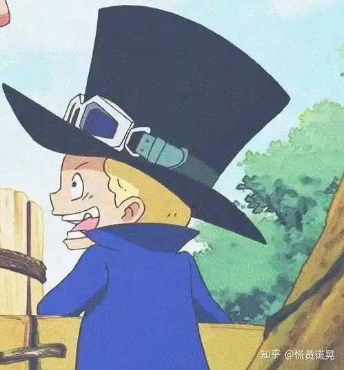 有没有海贼王中路飞三兄弟的头像