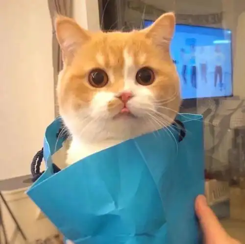 09.09小头像壁纸