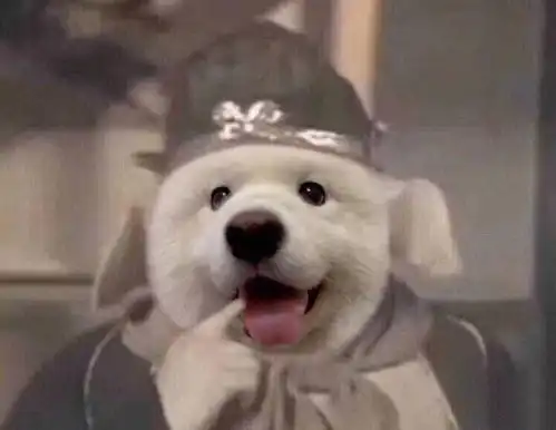 简短文艺小清新文案