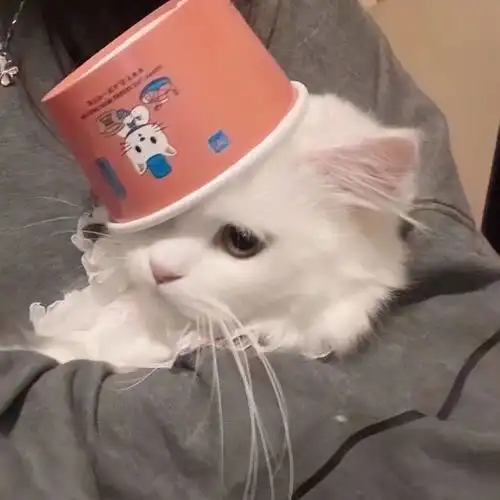 粉色系无水印女生头像精选