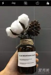 花式遮脸头像女动漫头像