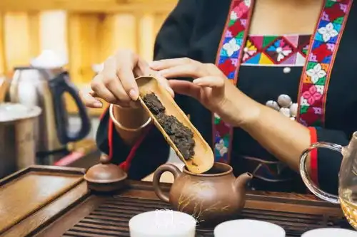 500家茶商齐聚佛山茶博会带你品百年老茶,玩抖音游戏