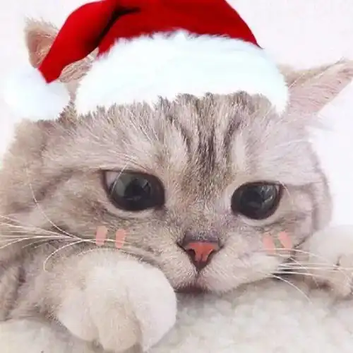 闵行区卫健委打造中医系列家庭医生微课堂