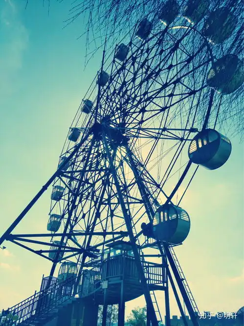 一个内心脆弱的人却活的阳光开朗