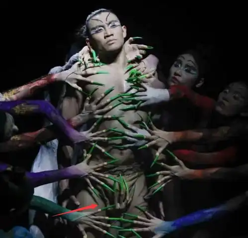 杨丽萍新舞蹈尺度更大,女舞者手摸男舞者私处,网友欣赏不来