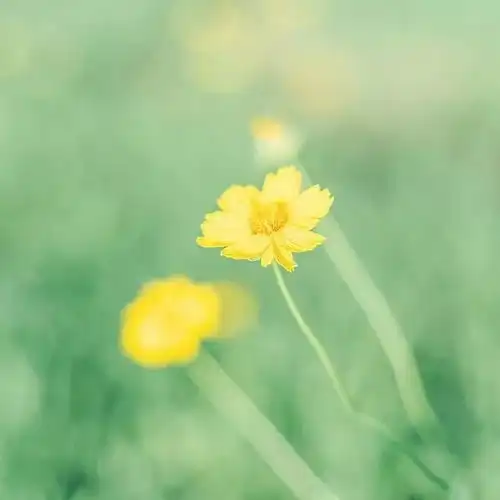 八月,愿世间所有的美好,都如约而至