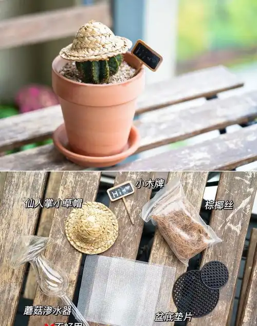 5㎡小阳台,diy改造治愈系休闲小花园,每天宅在家,不想出门了