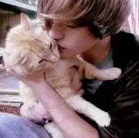 求一个男孩和一只猫的动态漫画