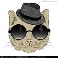 社会猫戴墨镜头像微信头像图片大全