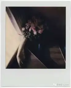 展览荒木经惟花幽