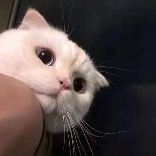 100张微信朋友圈背景图