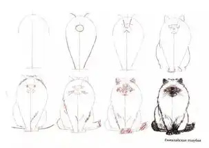 50个猫的画法,人人都能学会的简笔画
