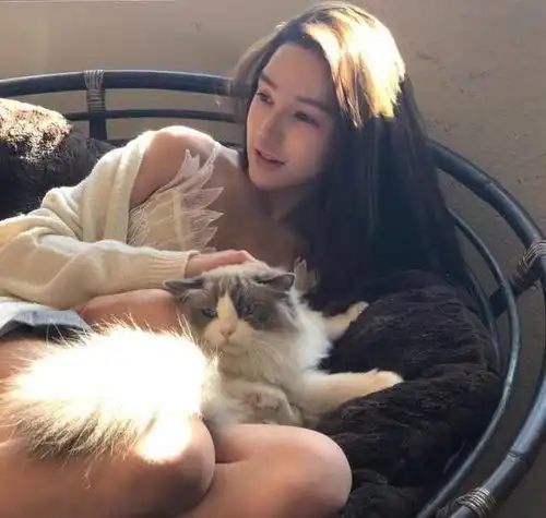 好看的头像卡通动物女生