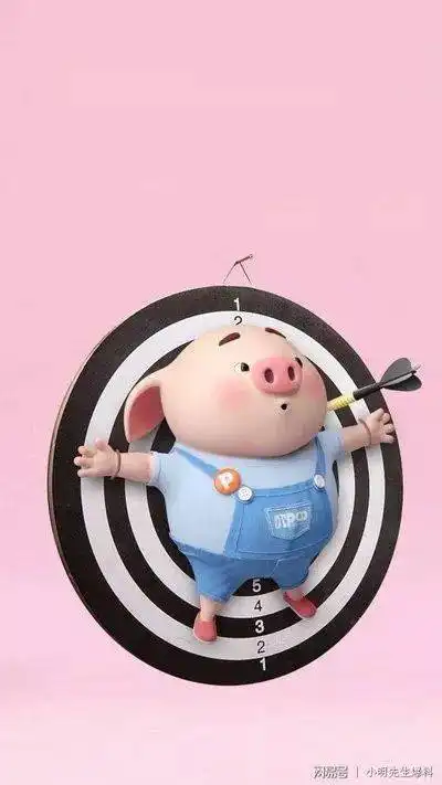 小花猪的故事九十八