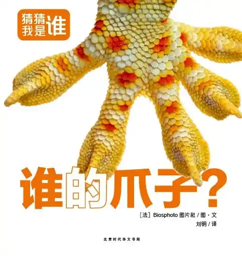 新书有礼猜猜我是谁法国低龄宝宝的魔力写真科普翻翻书