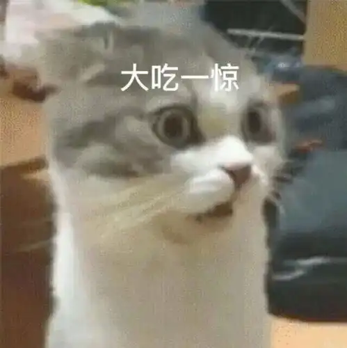 母女聊天记录曝光妈妈因为一个头像要跟女儿断绝关系