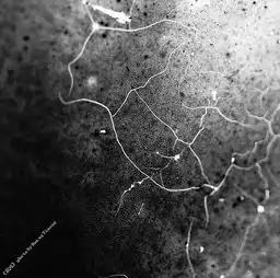 混沌黑白画册中部分作品