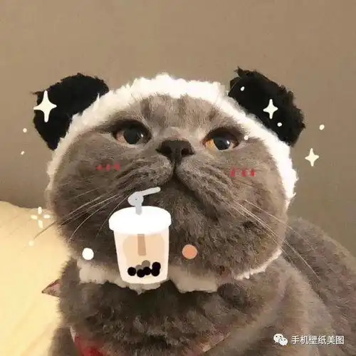 微信男生动物卡通头像