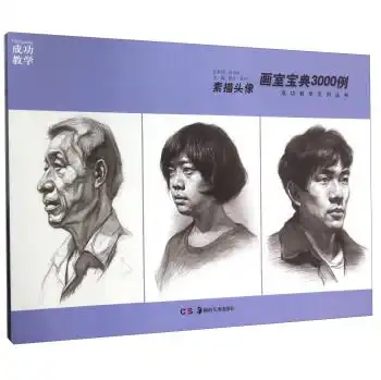 素描头像画室宝典3000例成功教学系列丛书,9787535673114