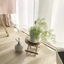 日本小夫妻的浪漫满屋谁说美好生活一定奢华