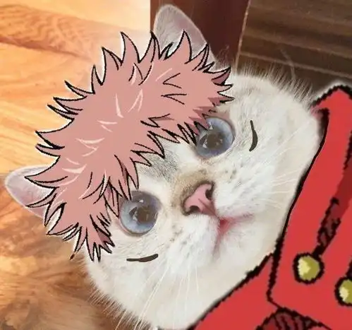 猫咪版咒术喵战,橘猫形态两面宿傩,加菲猫版五条悟