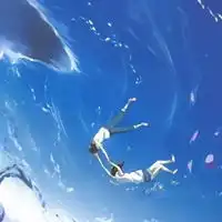 头像蓝色高清唯美蓝色系列头像图片