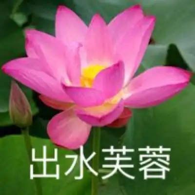 澳门澳门期期中