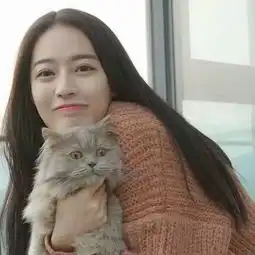 苏心女头外面风大接你回家