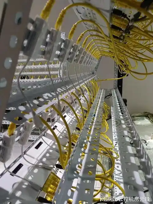 搭建一个抖音机房成本多少钱行业揭秘