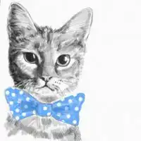 可爱头像猫系情侣qq头像