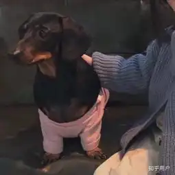 有哪些值得推荐的很可爱很特别的情侣头像