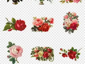 50款卡通浪漫唯美复古手绘玫瑰花花卉png免扣素材图片模板下载118.02mb其他大全生活工作