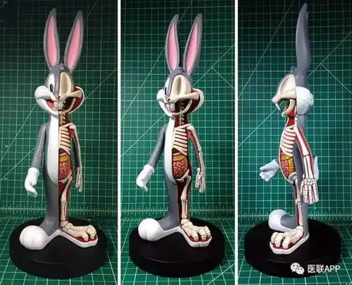 毁童年丧心病狂的卡通人物解剖学