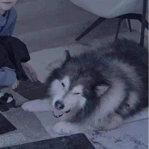 四人闺蜜头像动漫沙雕系