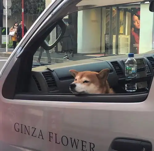 文案集一段段甜中带丧的短文